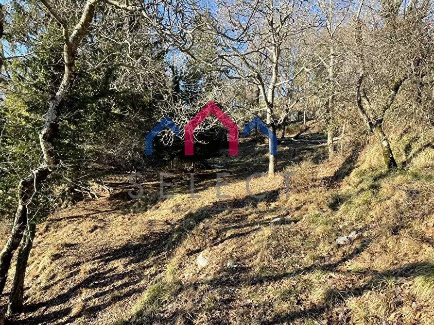 Immagine 5 di Rustico / casale in vendita  a Fabbriche Di Vergemoli