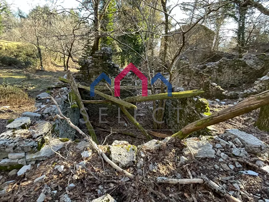 Immagine 50 di Rustico / casale in vendita  a Fabbriche Di Vergemoli