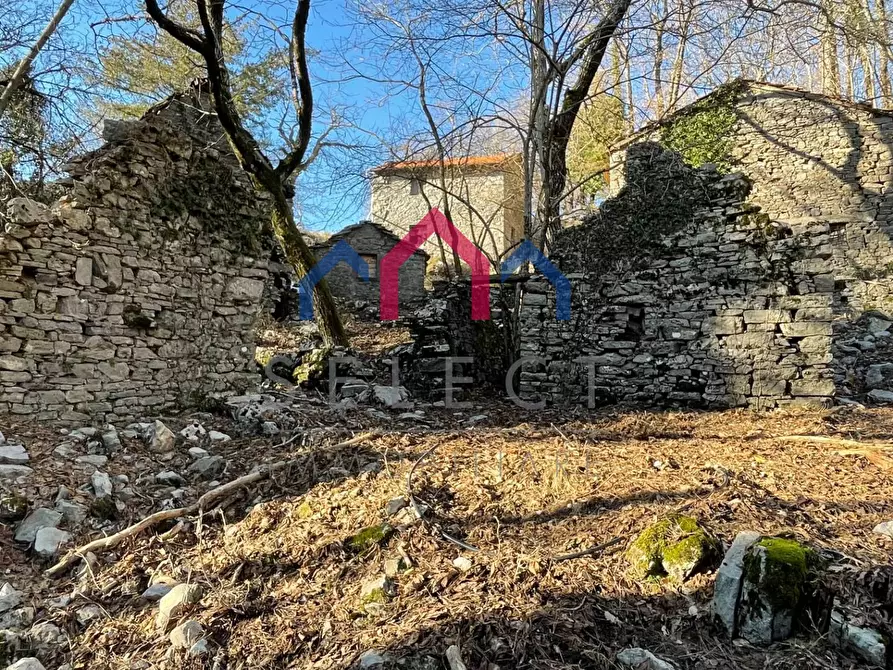 Immagine 35 di Rustico / casale in vendita  a Fabbriche Di Vergemoli