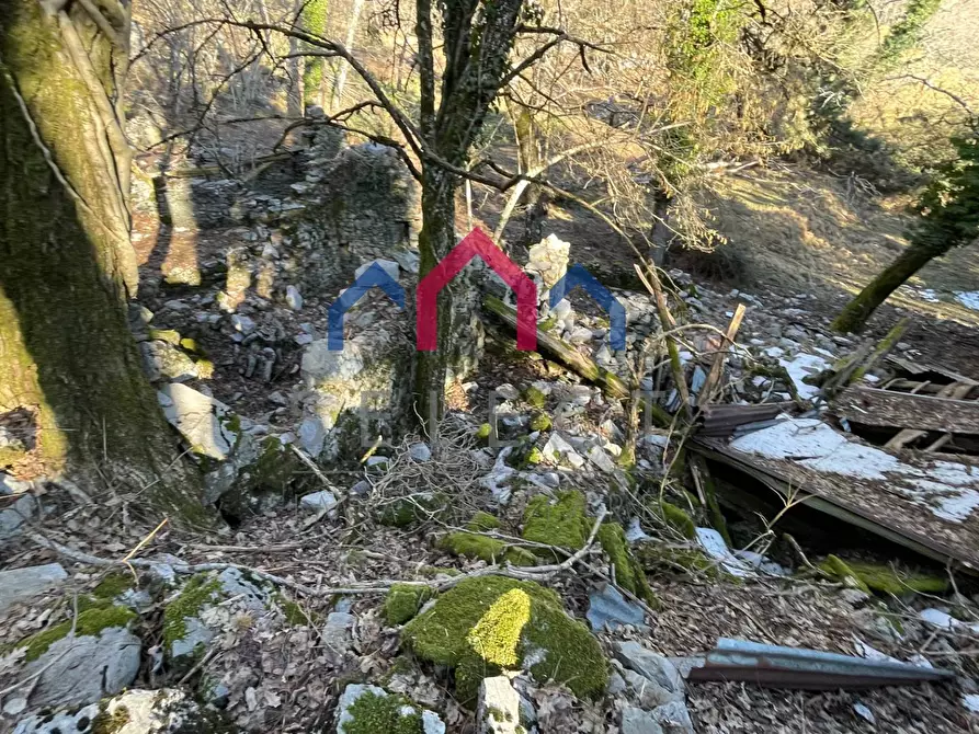 Immagine 29 di Rustico / casale in vendita  a Fabbriche Di Vergemoli