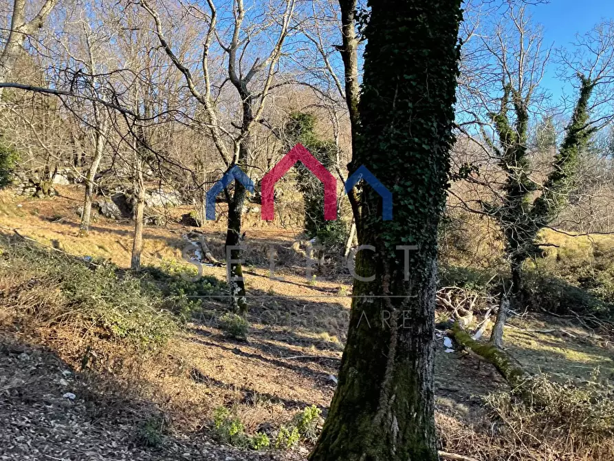 Immagine 63 di Rustico / casale in vendita  a Fabbriche Di Vergemoli