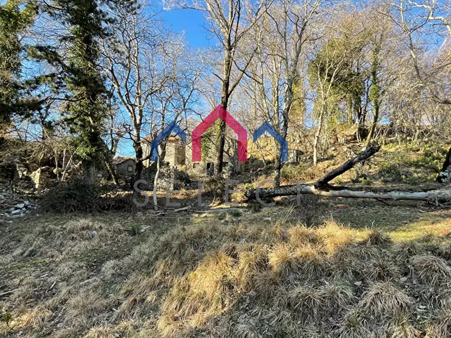 Immagine 7 di Rustico / casale in vendita  a Fabbriche Di Vergemoli