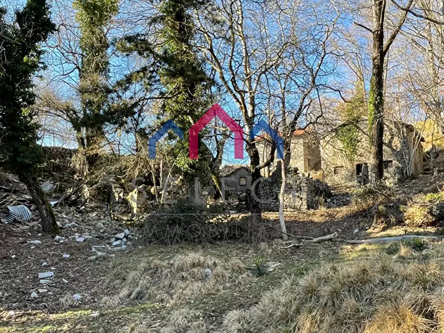 Immagine 9 di Rustico / casale in vendita  a Fabbriche Di Vergemoli