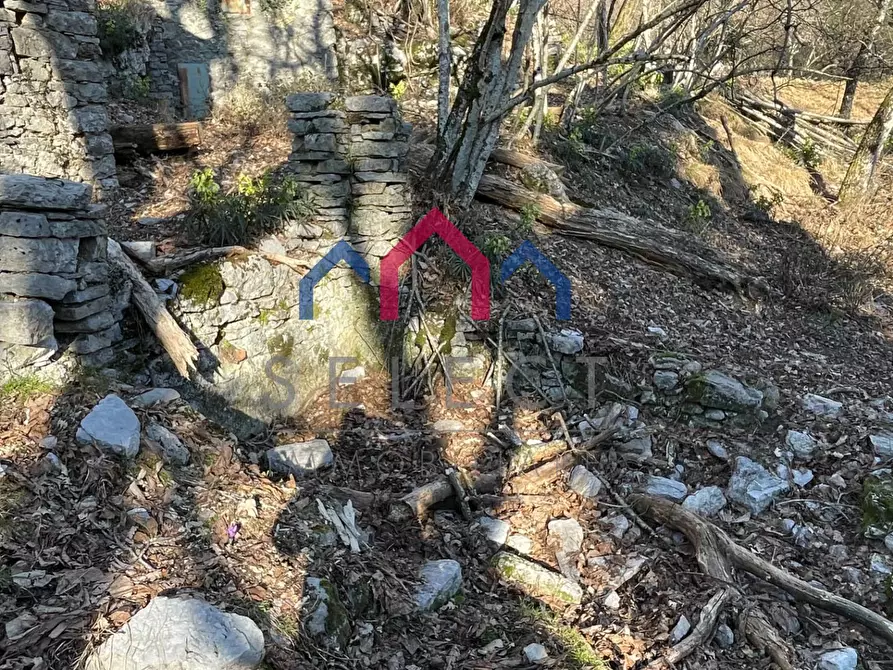 Immagine 19 di Rustico / casale in vendita  a Fabbriche Di Vergemoli