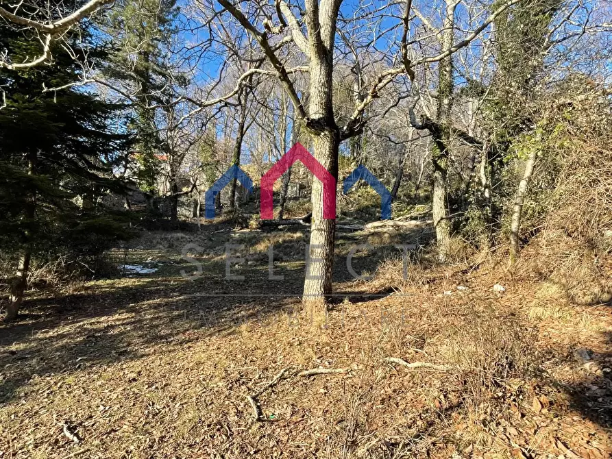 Immagine 6 di Rustico / casale in vendita  a Fabbriche Di Vergemoli