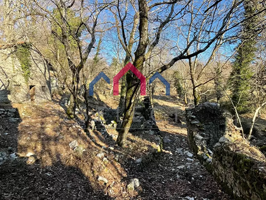Immagine 26 di Rustico / casale in vendita  a Fabbriche Di Vergemoli