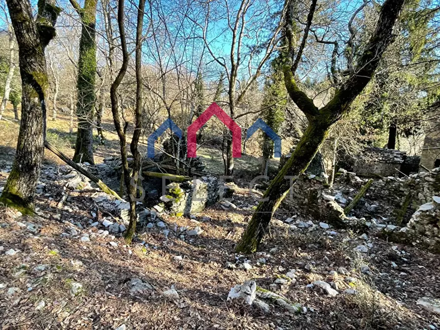 Immagine 52 di Rustico / casale in vendita  a Fabbriche Di Vergemoli