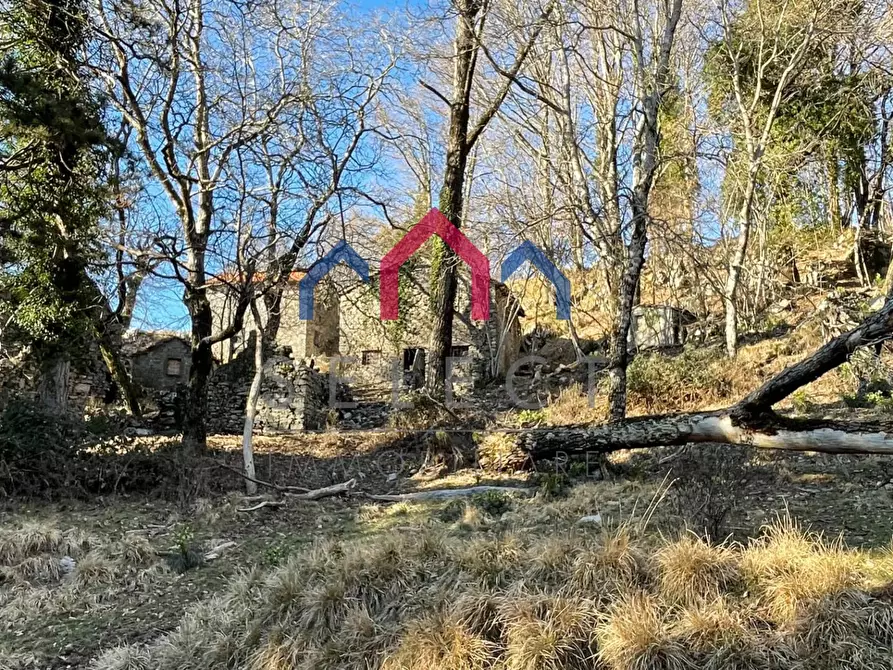 Immagine 8 di Rustico / casale in vendita  a Fabbriche Di Vergemoli