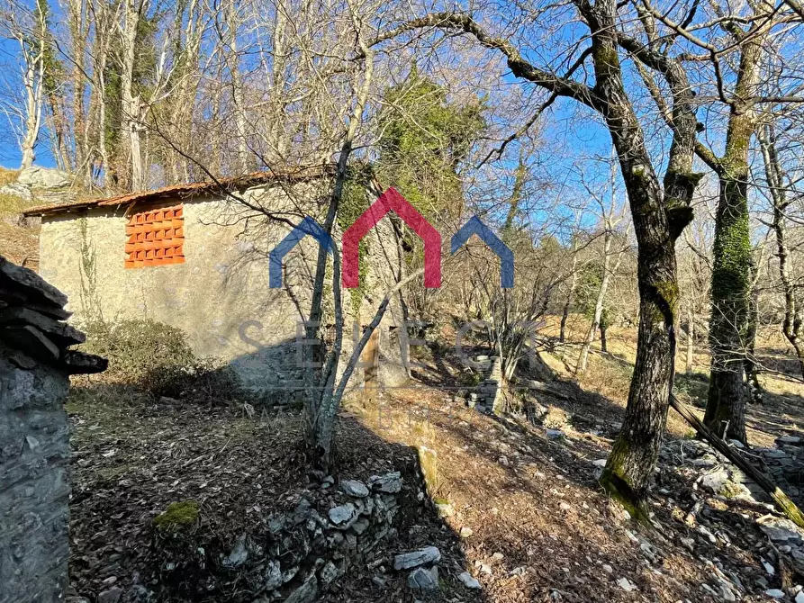 Immagine 53 di Rustico / casale in vendita  a Fabbriche Di Vergemoli
