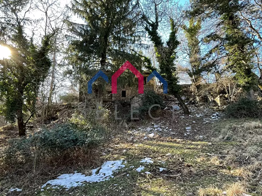 Immagine 11 di Rustico / casale in vendita  a Fabbriche Di Vergemoli