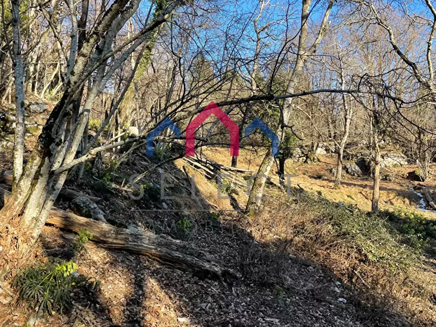 Immagine 62 di Rustico / casale in vendita  a Fabbriche Di Vergemoli
