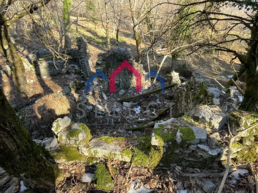 Immagine 27 di Rustico / casale in vendita  a Fabbriche Di Vergemoli