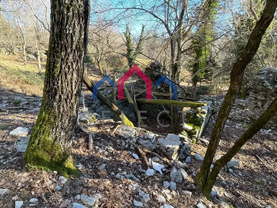 Immagine 23 di Rustico / casale in vendita  a Fabbriche Di Vergemoli