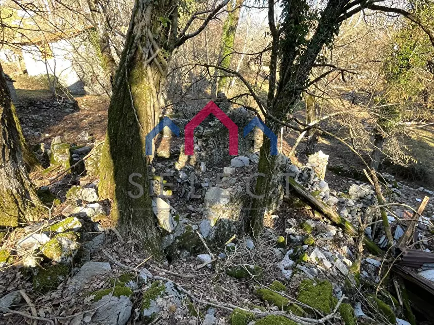 Immagine 28 di Rustico / casale in vendita  a Fabbriche Di Vergemoli