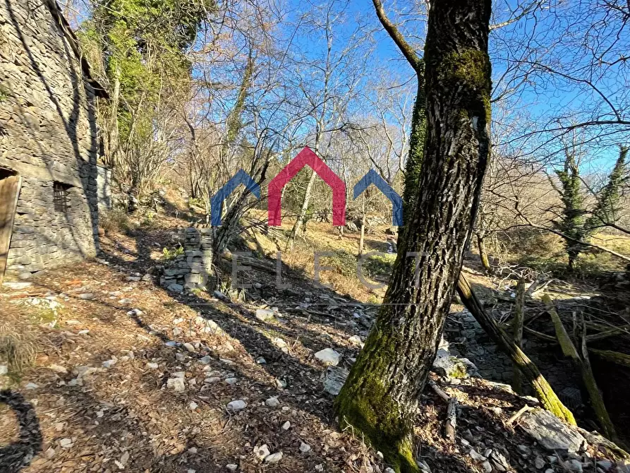 Immagine 22 di Rustico / casale in vendita  a Fabbriche Di Vergemoli