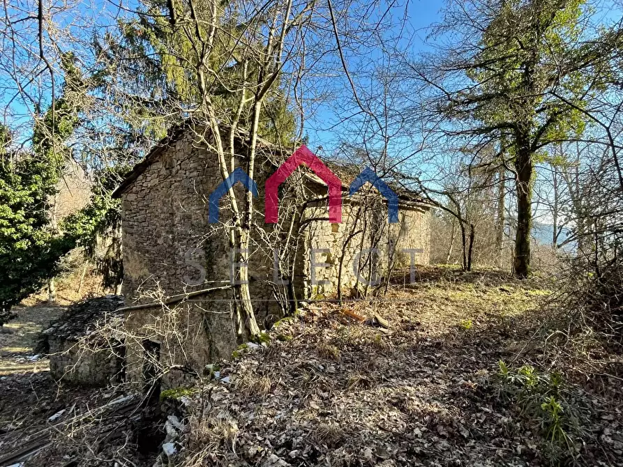 Immagine 32 di Rustico / casale in vendita  a Fabbriche Di Vergemoli