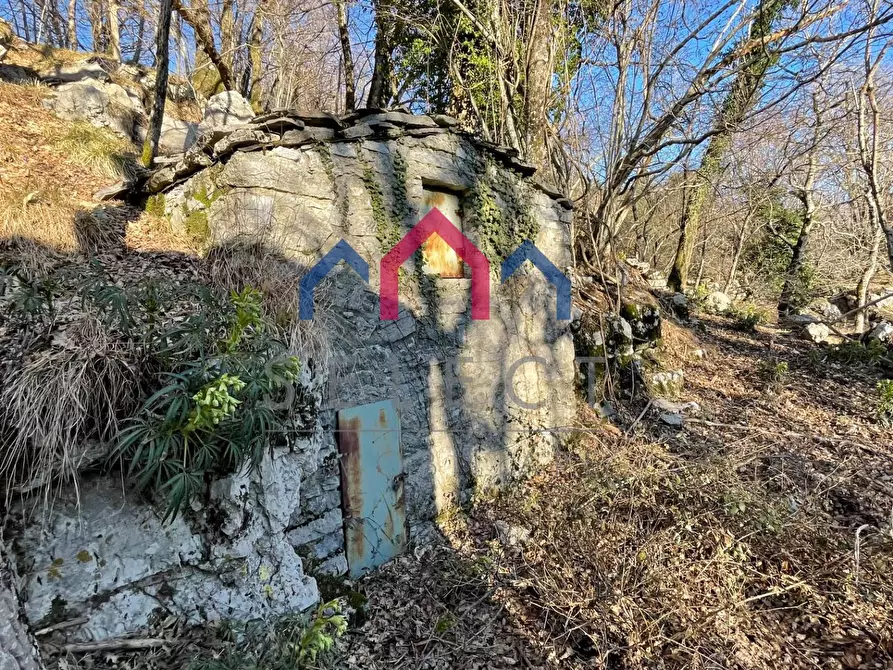 Immagine 58 di Rustico / casale in vendita  a Fabbriche Di Vergemoli