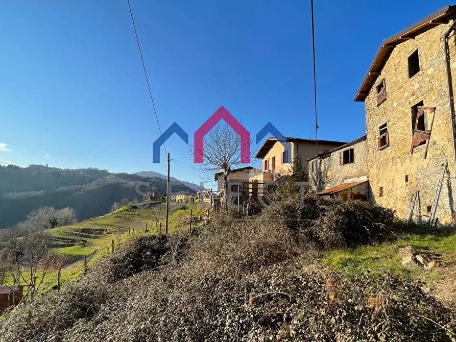 Immagine 44 di Terratetto in vendita  a Molazzana