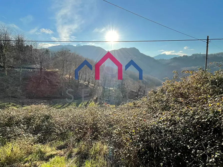 Immagine 42 di Terratetto in vendita  a Molazzana