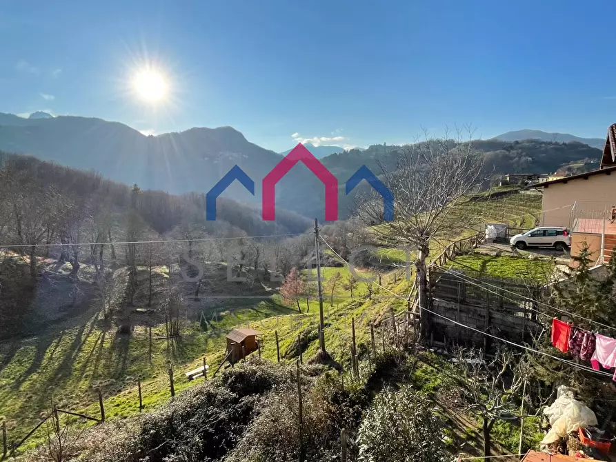 Immagine 37 di Terratetto in vendita  a Molazzana