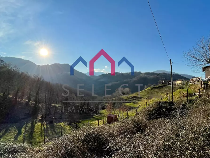 Immagine 11 di Terratetto in vendita  a Molazzana