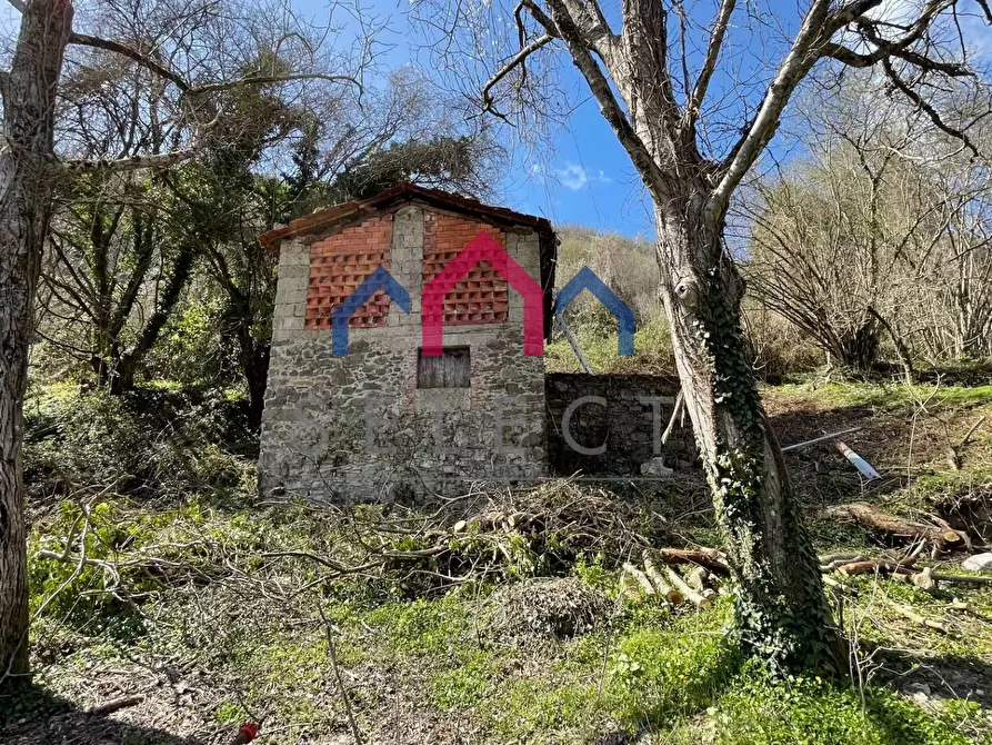 Immagine 9 di Rustico / casale in vendita  a Fabbriche Di Vergemoli