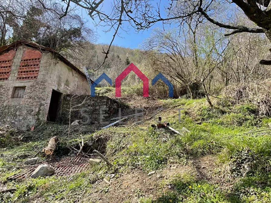 Immagine 11 di Rustico / casale in vendita  a Fabbriche Di Vergemoli