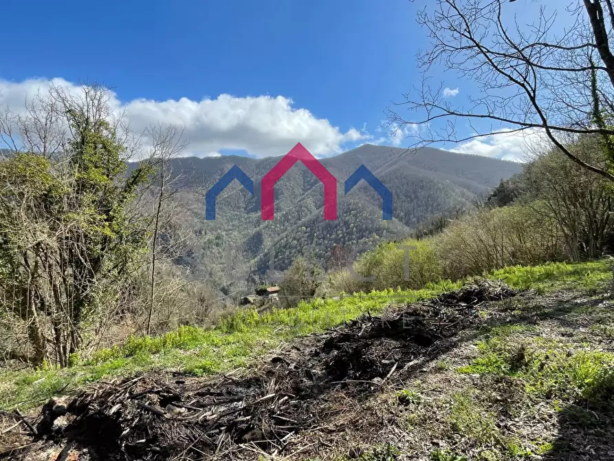 Immagine 39 di Rustico / casale in vendita  a Fabbriche Di Vergemoli