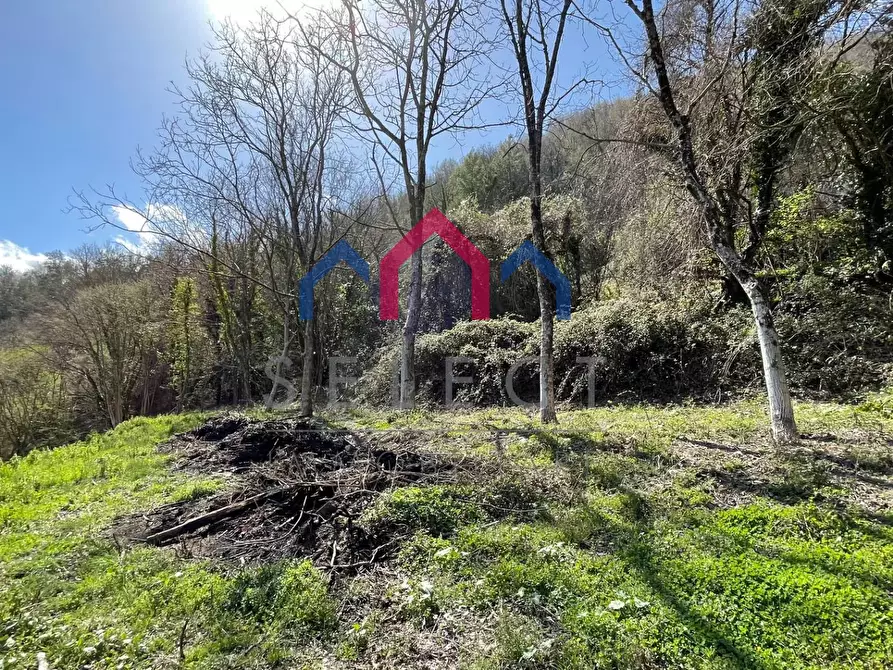 Immagine 15 di Rustico / casale in vendita  a Fabbriche Di Vergemoli