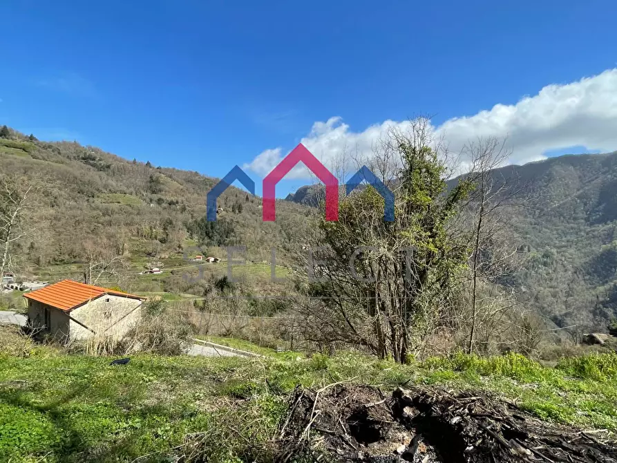 Immagine 45 di Rustico / casale in vendita  a Fabbriche Di Vergemoli