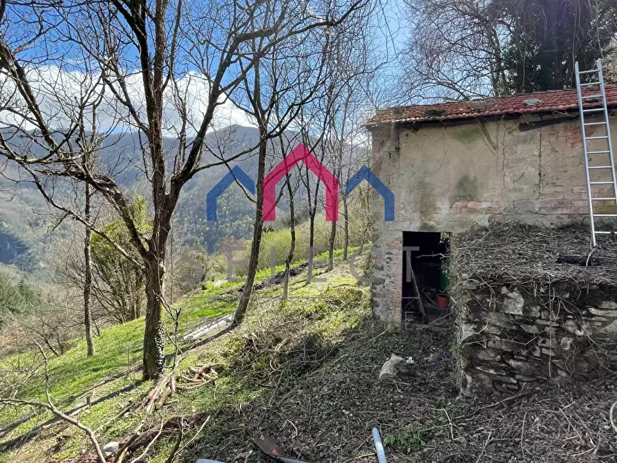 Immagine 22 di Rustico / casale in vendita  a Fabbriche Di Vergemoli