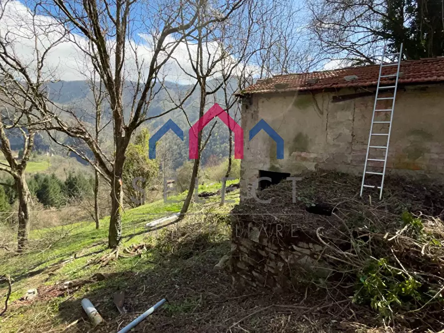 Immagine 17 di Rustico / casale in vendita  a Fabbriche Di Vergemoli