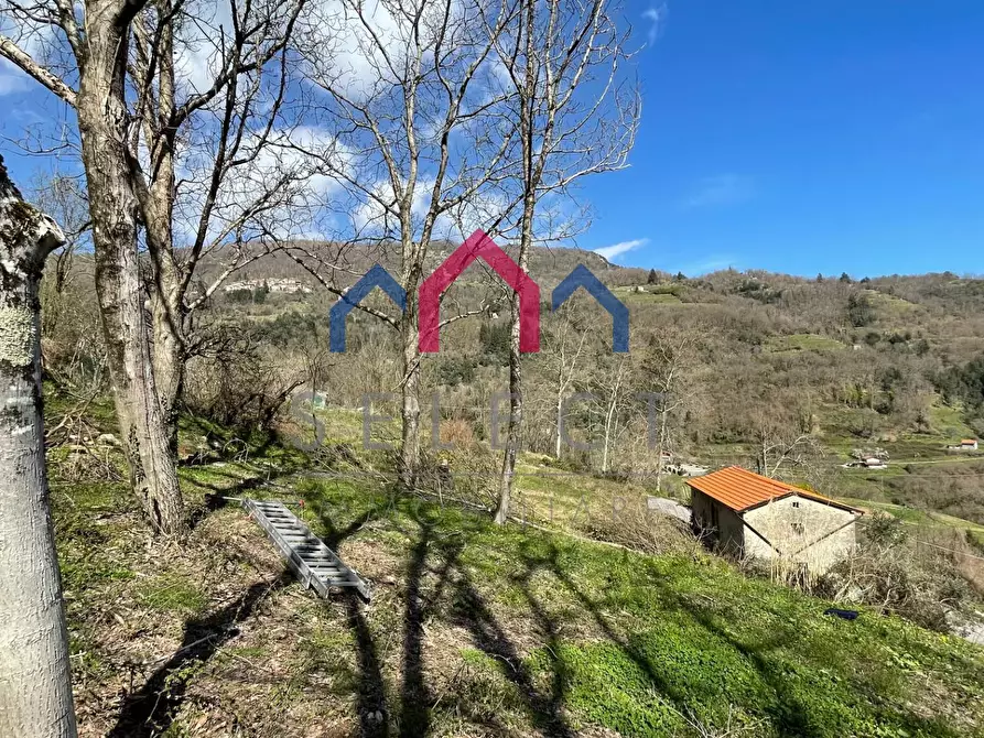 Immagine 42 di Rustico / casale in vendita  a Fabbriche Di Vergemoli