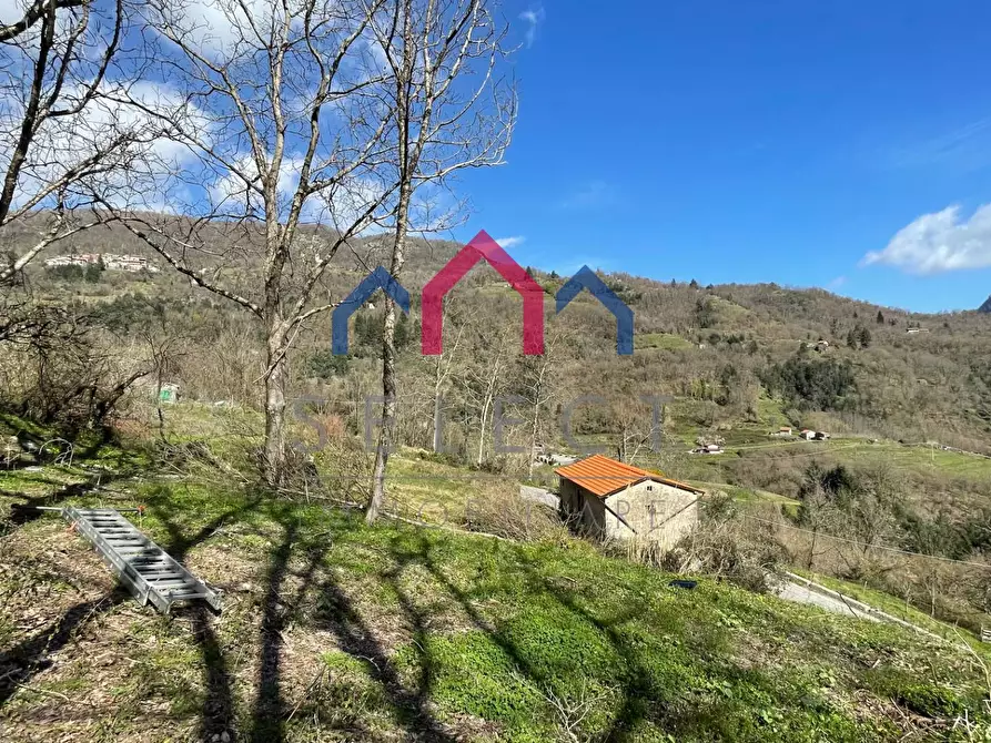 Immagine 43 di Rustico / casale in vendita  a Fabbriche Di Vergemoli