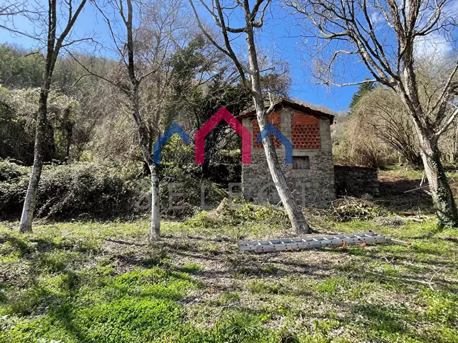 Immagine 16 di Rustico / casale in vendita  a Fabbriche Di Vergemoli