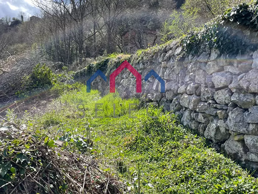Immagine 8 di Rustico / casale in vendita  a Fabbriche Di Vergemoli