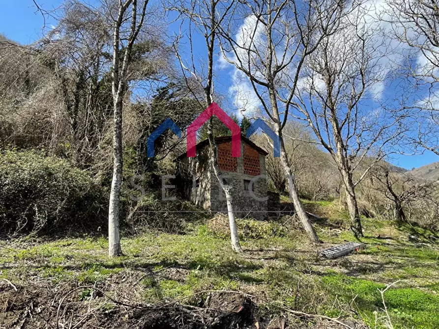Immagine 14 di Rustico / casale in vendita  a Fabbriche Di Vergemoli