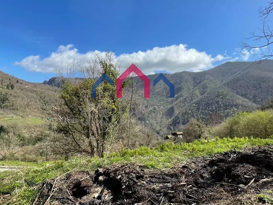 Immagine 40 di Rustico / casale in vendita  a Fabbriche Di Vergemoli