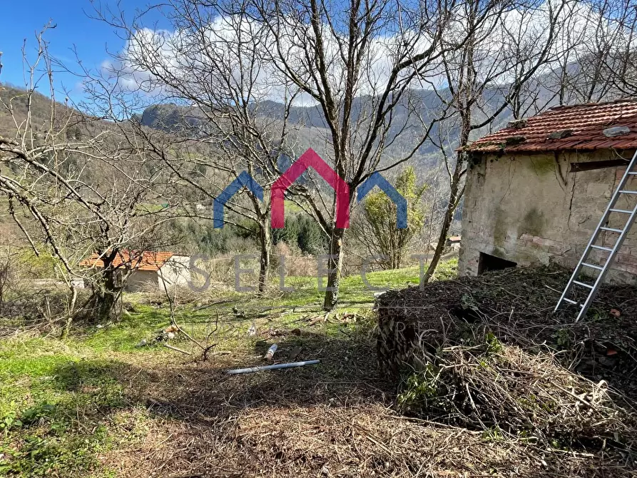 Immagine 19 di Rustico / casale in vendita  a Fabbriche Di Vergemoli