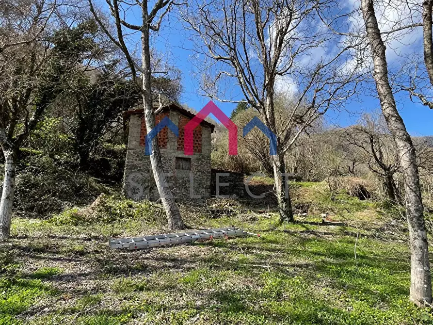 Immagine 10 di Rustico / casale in vendita  a Fabbriche Di Vergemoli