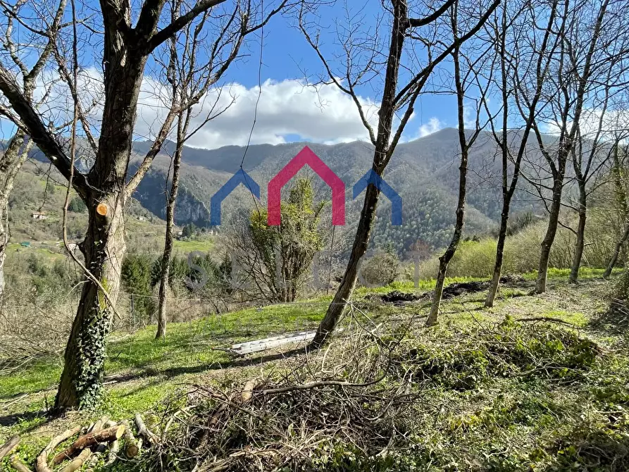 Immagine 4 di Rustico / casale in vendita  a Fabbriche Di Vergemoli