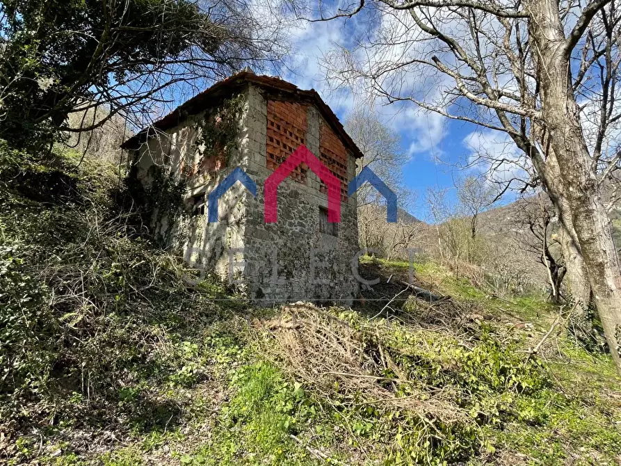 Immagine 13 di Rustico / casale in vendita  a Fabbriche Di Vergemoli