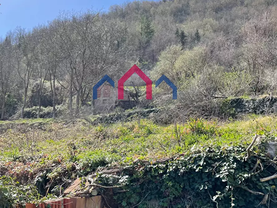 Immagine 5 di Rustico / casale in vendita  a Fabbriche Di Vergemoli