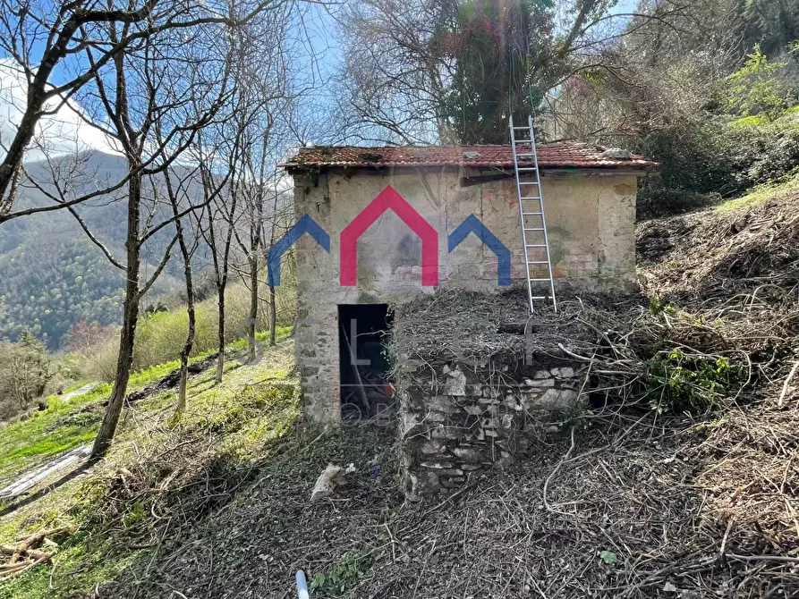 Immagine 21 di Rustico / casale in vendita  a Fabbriche Di Vergemoli