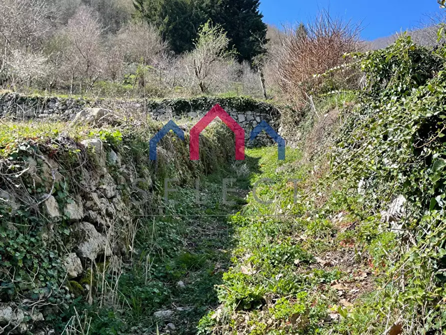 Immagine 7 di Rustico / casale in vendita  a Fabbriche Di Vergemoli