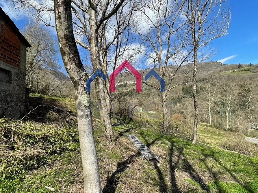 Immagine 41 di Rustico / casale in vendita  a Fabbriche Di Vergemoli