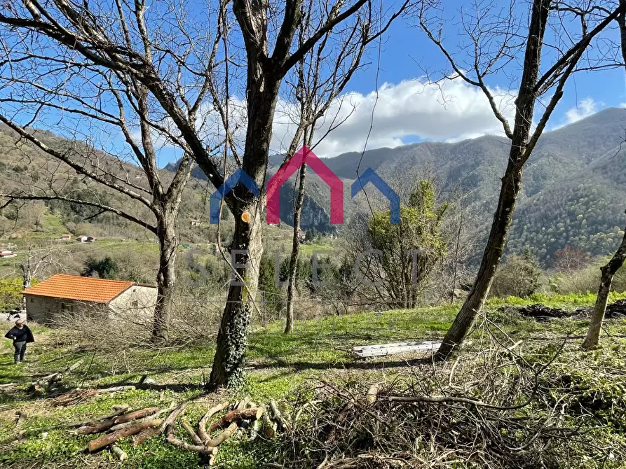 Immagine 38 di Rustico / casale in vendita  a Fabbriche Di Vergemoli