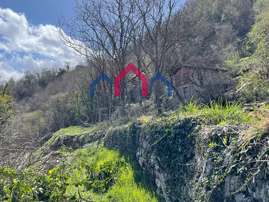 Immagine 6 di Rustico / casale in vendita  a Fabbriche Di Vergemoli