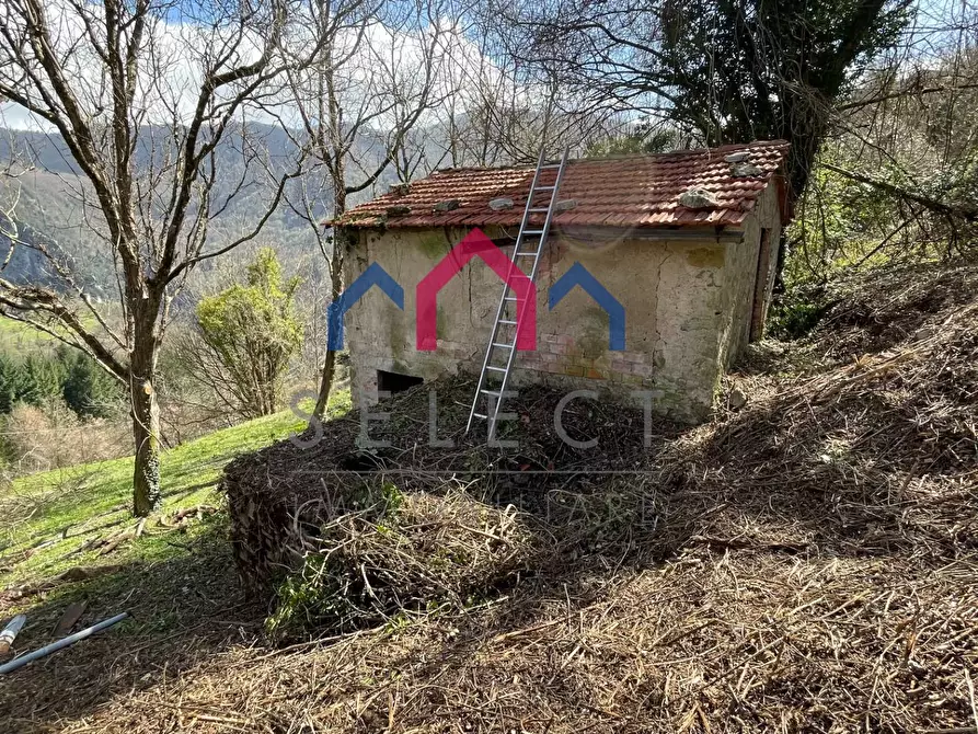 Immagine 18 di Rustico / casale in vendita  a Fabbriche Di Vergemoli