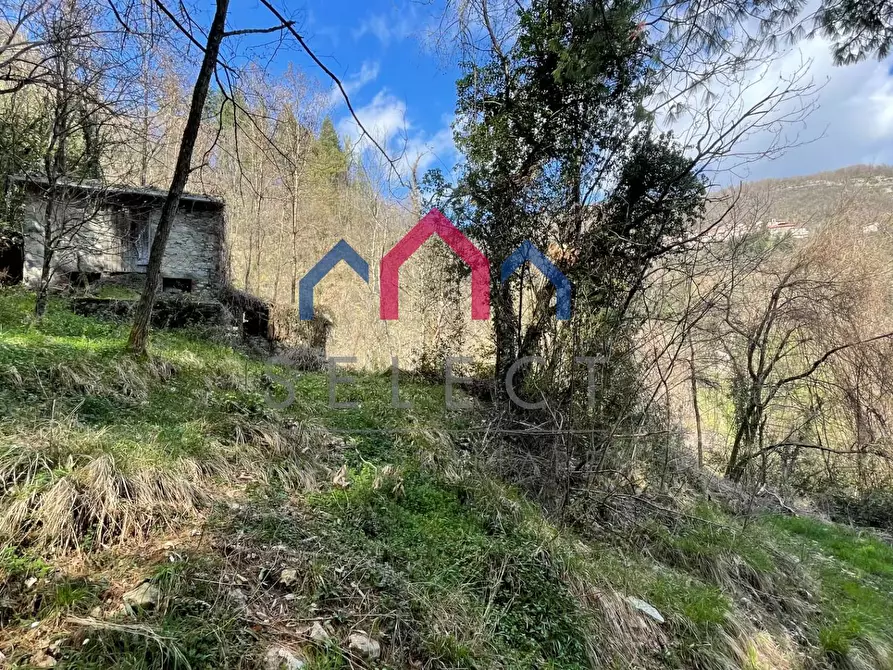 Immagine 11 di Rustico / casale in vendita  a Fabbriche Di Vergemoli
